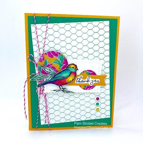 Stampin'Up's 2020-2022 In Colors of Just Jade and Magenta Madness combine with Mango Melody for a bright and colorful Free As A Bird Thank You card. All the colors play off of the Flowers For Every Season 6x6 designer paper. I love using the All Wired Up background stamp with the birds. Stampin' Blends were used to color the birds. Find more of this stamp set : https://www.pamstrobelcreates.com/free-as-a-bird-stamp-set 