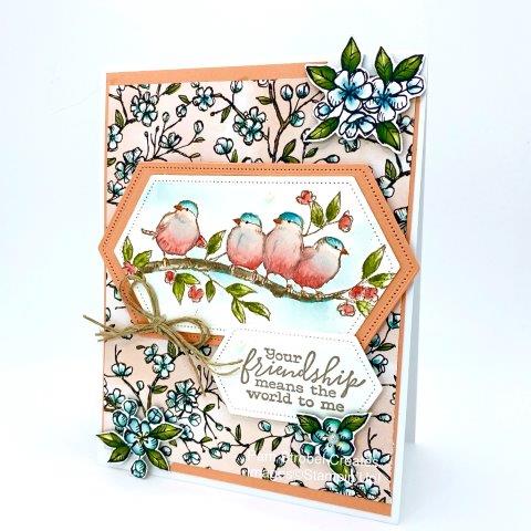 Colorful friendship sings out loud with this adorable flock of birds. A backdrop of Bird Ballad designer series paper and fussy cut flowers clusters mix well with Petal Pink,Balmy Blue and Old Olive colors. The bodies were watercolored including Flirty Flamingo. Use Stitched Nested Label dies and linen thread to complete. Find more of Stampin'Up's Free As A Bird stamp set here: https://www.pamstrobelcreates.com/free-as-a-bird-stamp-set
