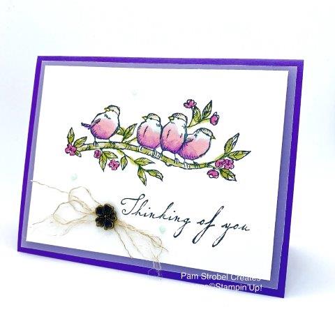 Such a sweet card to give to let someone know you are thinking of them. No die or fussy cutting involved just stamped directly on the panel and colored with Stampin' Blends alcohol markers. This Free As A Bird image by Stampin' Up features Gorgeous Grape, Highland Heather and Melon Mambo colors. Enjoy additional Free As A Bird samples https://www.pamstrobelcreates.com/free-as-a-bird-stamp-set