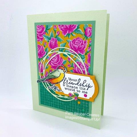 A bright and beautiful card any friend would adore receiving. The Flowers for Every Season 6x6 paper collection creates a beautiful backdrop to build a nature wreath, colorful bird and thoughtful sentiment. Soft Sea Foam, Mint Macaron, Mango Melody and Magenta Madness colors. Painted Label Dies, Label Me Fancy Punch, Stampin Blends, and In Color Enamel Dots. https://www.pamstrobelcreates.com/free-as-a-bird-stamp-set