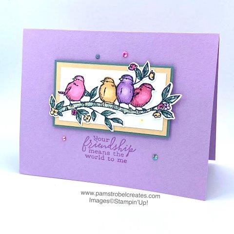 Stampin Up's 2021-2022 In colors are featured on today's feathered flock. Each of the birds from the FREE AS A BIRD stamp set are colored with alcohol blends markers. Fresh Fresia card base and accents of Pale Papaya and Evening Evergreen card stocks. Enjoy more samples of this stamp set in my dedicated gallery of my site.