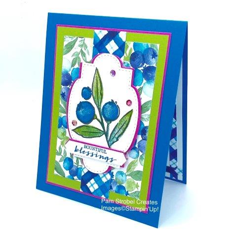 Create a Blueberry Delight with beautiful paper and bright card stock. This card features Stampin'Up Pacific Point, Granny Apple Green and Magenta Madness and Stitched So Sweetly Dies. Enjoy more Berry Blessings cards here https://www.pamstrobelcreates.com/berry-blessings-stamp-set